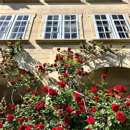 Historical Flat, By Zytglogge - 1st Floor Apartament Berno