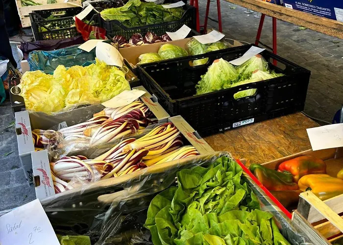 Old Town Gem Comfy Queen Bed & Fast Wifi Lägenhet *