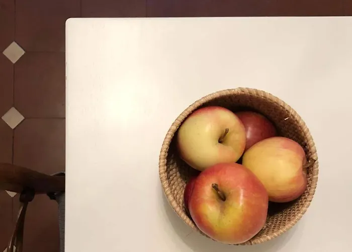 Old Town Gem Comfy Queen Bed&fast Wifi Bern